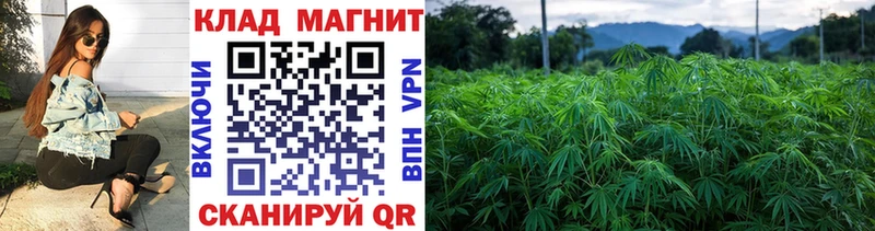 Где купить наркотики Болотное Каннабис Cocaine АМФ МЕФ МЕТАДОН ГАШ