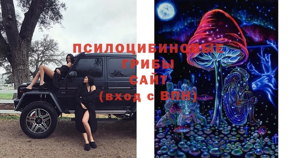 марки nbome Богданович