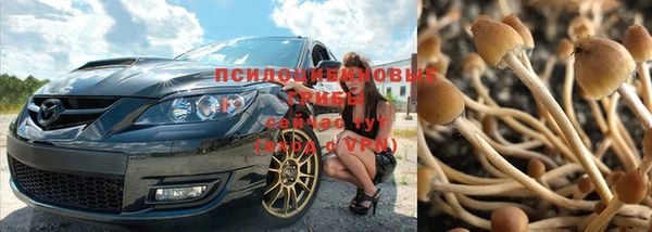 каннабис Богородицк