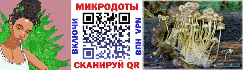 купить наркоту  Болотное  Галлюциногенные грибы GOLDEN TEACHER 
