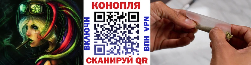 Канабис OG Kush Болотное